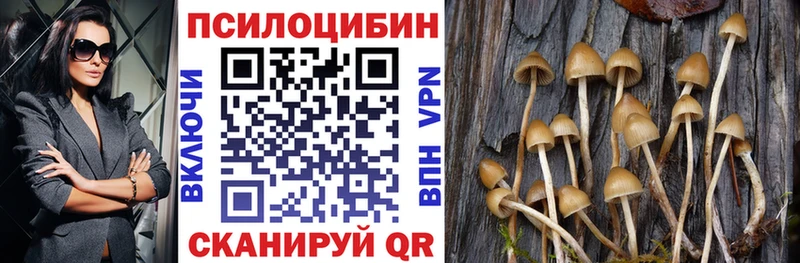 Галлюциногенные грибы Magic Shrooms  сколько стоит  Кубинка 